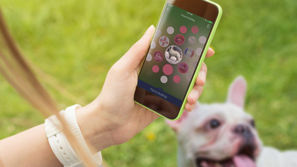 Introducing the New Blippar App: The Power of Visual Discovery