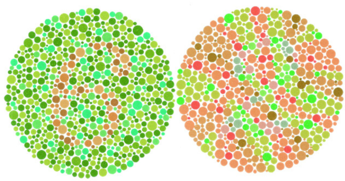 What Is Computer Vision? – Part 2: Human Vision - News - Blippar